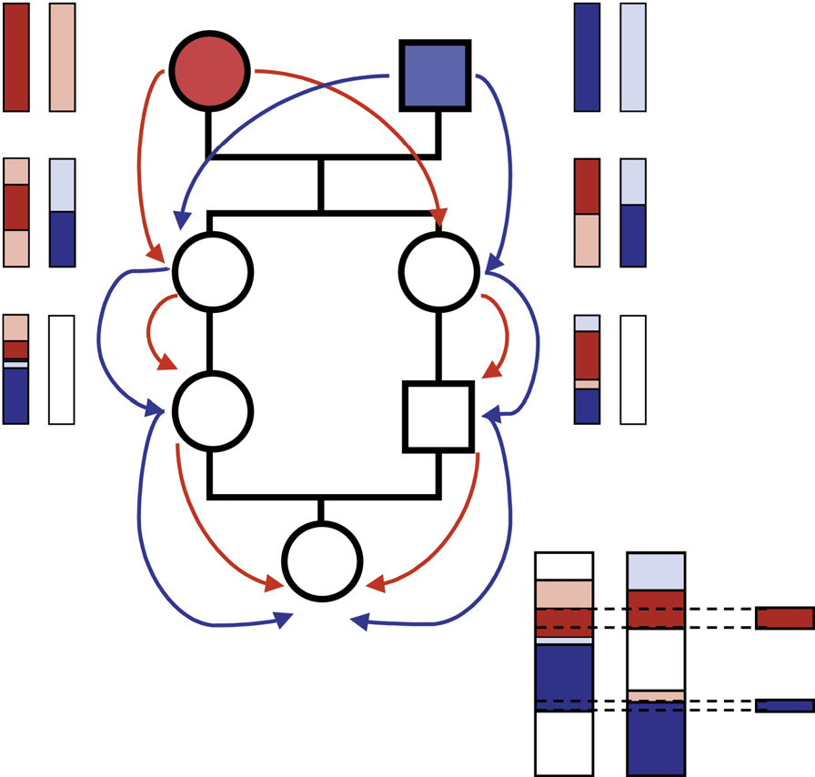 homozygosity_mapping