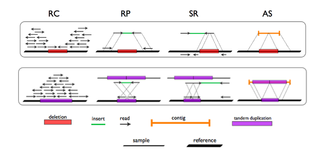 CNV detection methods