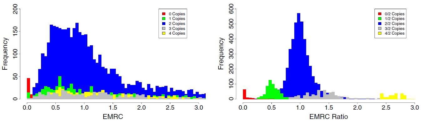 Data Normalization_1