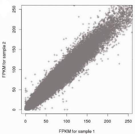 Data Normalization_2